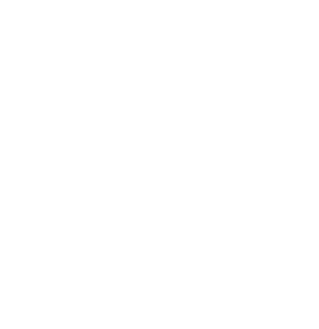 Statewide Outstanding Achievement Awards (SOAR)